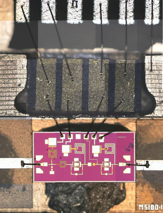 Cryogenic IF Low Noise Amplifier