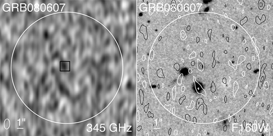 ALMA Detection of the Host Galaxy of gamma-Ray Burst GRB 080607