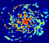 Simulation of molecular gas distribution in a galactic disk